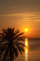 Obraz premium Beautiful sunrise landscape. Vertical color photography of black silhouette of palm tree isolated at sunny golden morning sky and sea water background. Color image.