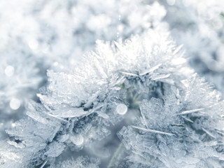 winter background with snowflakes crystals patterns and snow on frozen grass