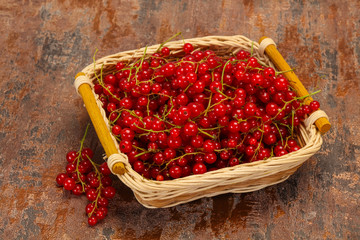 Sweet tasty fresh Red currant