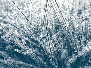 winter background with snowflakes crystals patterns and snow on frozen grass