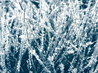 winter background with snowflakes crystals patterns and snow on frozen grass