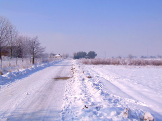 Fototapeta premium Winter village road