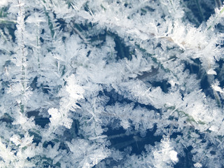 winter background with snowflakes crystals patterns and snow on frozen grass
