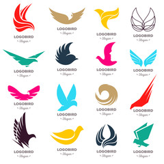 Isolated abstract yellow and orange color birds silhouettes logos collection on white background, wings and feathers elements logotypes set vector illustration.