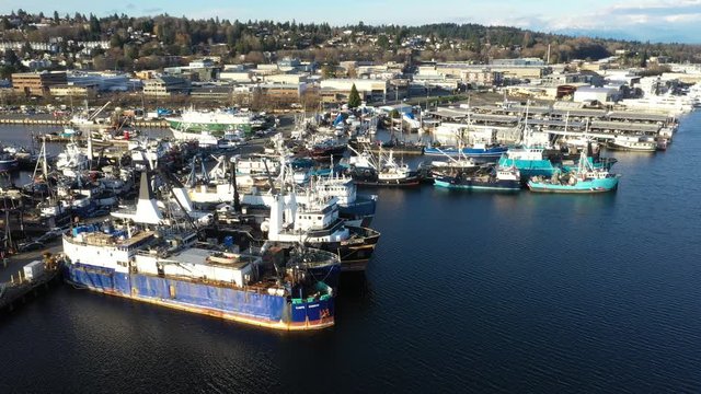 Drone footage of Fishermen's Terminal at Salmon Bay near Ballard, Puget Sound with fishing boats ships and yachts in the background