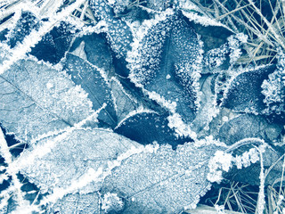 winter background with snowflakes crystals patterns and snow on frozen grass