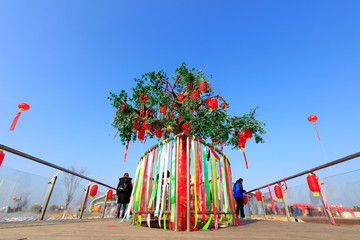 blessing tree in the blue sky