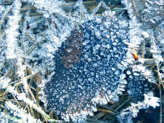 winter background with snowflakes crystals patterns and snow on frozen grass