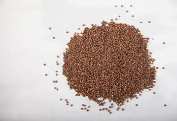Buckwheat seeds closeup isolated on white background. Copy spaes.
