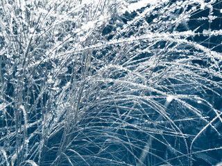 winter background with snowflakes crystals patterns and snow on frozen grass