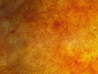 grunge paper background