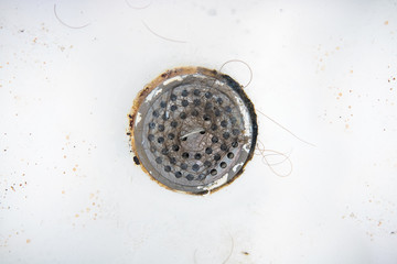 clogged drain, top view of hair clump stopped by a metal filter on drainage hole