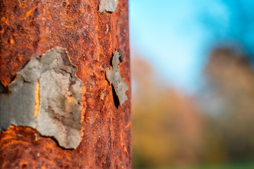 Rust on a light pole in winter