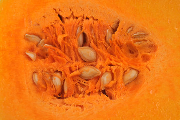 Gros plan sur les pépins de butternut