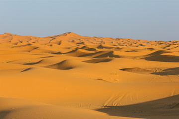 The endless sand sea in the light of the setting sun at Erg Chebbi