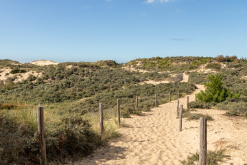 Sentier sablonneux dans l'Espace naturel Sensible des dunes de la Slack