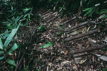 Dirty concrete stair for trekking traveler in the real forest.