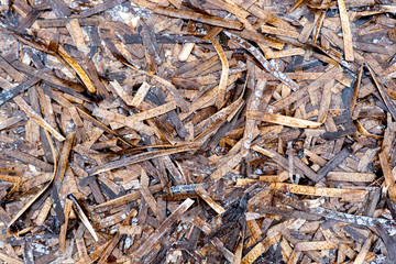 Texture d'algues posidonies rejetées sur la plage de Saint-Cyr