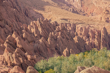 Close up of a rock formation shaped like monkey fingers at Ait Ouglif on the way to the Dades Gorges © Vermeulen-Perdaen