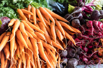 Bunches of carrots for sale at market