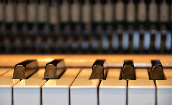 Piano keys front view close up