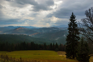 Autumn landscape background in the rain weather with fog