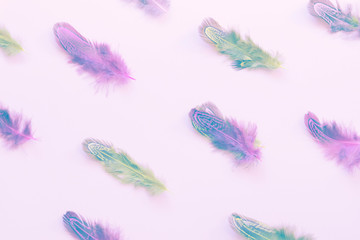 Green and purple fluffy feathers in open composition pattern
