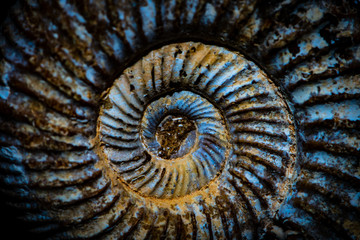 Archaic spiral