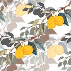 Seamless Pattern lemon on white and color background.