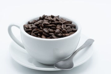 Coffee seed in a coffee cup