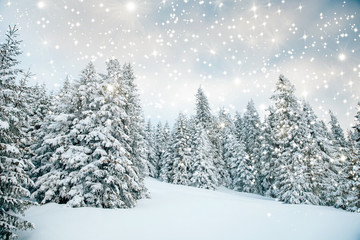 Scenic winter landscape with snowy fir trees. Winter postcard.