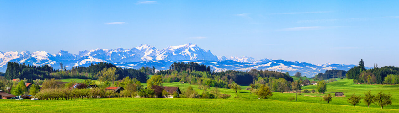 typische Frühlings-Szenerie nahe des Bodensees mit den schneebedeckten Bergen des Alpstein-Massivs im Hintergrund