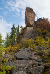 wonderful autumn landscape of mountains and dense coniferous forest