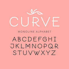 Vector thin line uppercase alphabet. For logo design, feminine branding