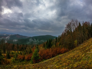 Autumn landscape background in the rain weather with fog