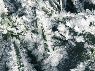 winter background with snowflakes crystals patterns and snow on frozen grass