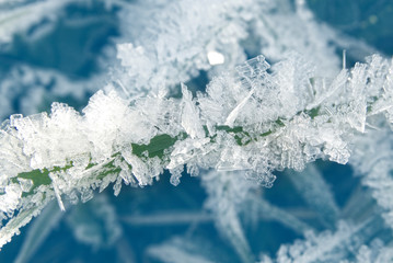 winter background with snowflakes crystals patterns and snow on frozen grass