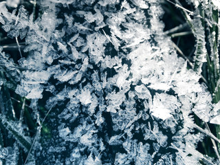 winter background with snowflakes crystals patterns and snow on frozen grass