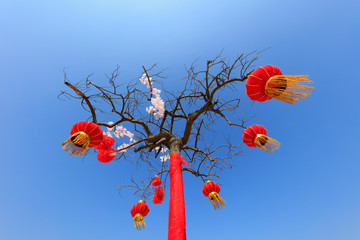 red lanterns hanging in a tree.