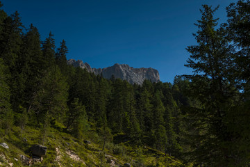 Alto Adige sunny day nature alps outdoor