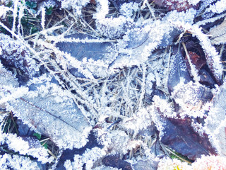 winter background with snowflakes crystals patterns and snow on frozen grass