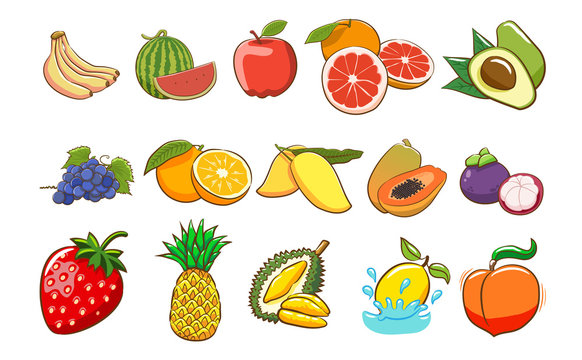 fruit vector set collection graphic clipart design