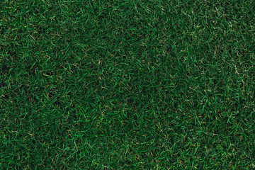Top view of green grass texture with water at football or soccer stadium.