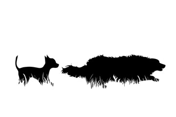 Vector silhouette of dogs in the grass on white background. Symbol of animal, pet, friends, nature, park, garden.