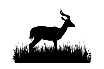 Vector silhouette of antelope in the grass on white background. Symbol of animal, zoo, Africa, safari, wild, nature, park, garden.