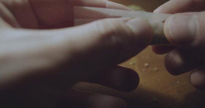 A weed smoker is rolling a marijuana joint to get high - close up
