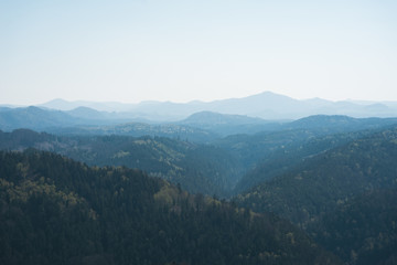 German foggy Landscape in Saxony 
