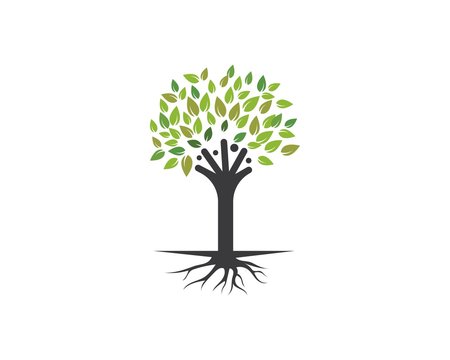 family  tree logo template vector illustration