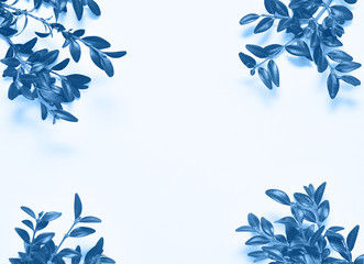 Branches of plant in trendy blue color,