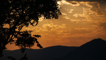 Fototapeta na wymiar Sonnenuntergang in Montenegro mit Baumblättern und Hügel im Hintergrund